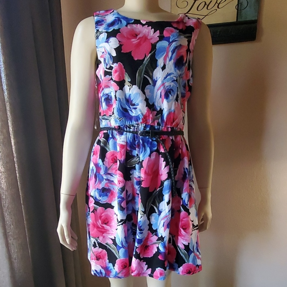 NWT Lily Rose Dress